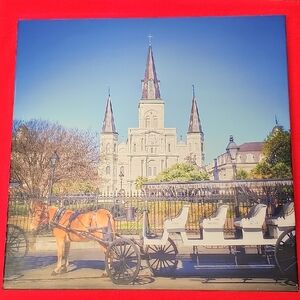 New Orleans Cathedral Canvas Art